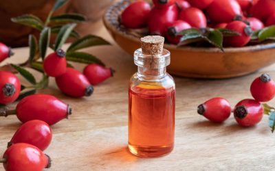 Ingredient Spotlight: Rosehip Oil for Dull or Dry Skin