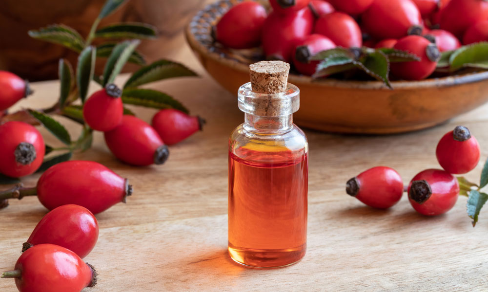 Organic Skincare Ingredient Spotlight Rosehip Oil for Dull or Dry Skin Blog Image